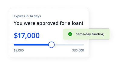 Business Loans feature showing loan approval interface